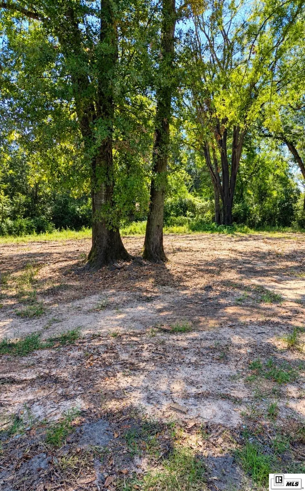303 Ludwig Avenue, West Monroe, LA 71291 - #1