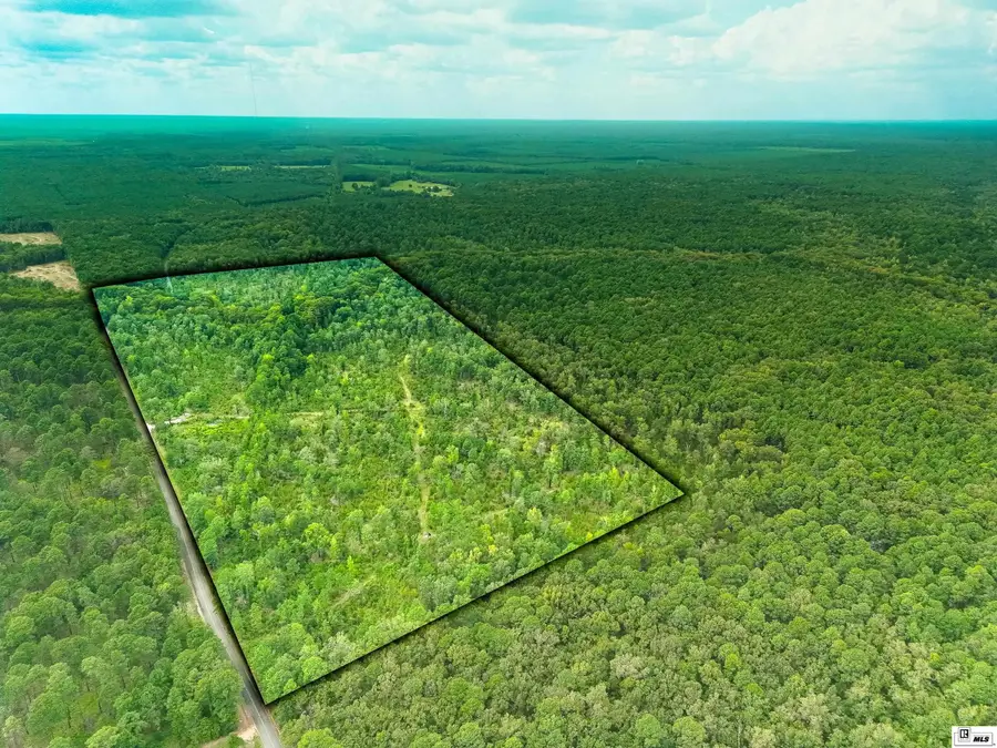 0 Dollar Junction Road, Huttig, AR 71747 - #3