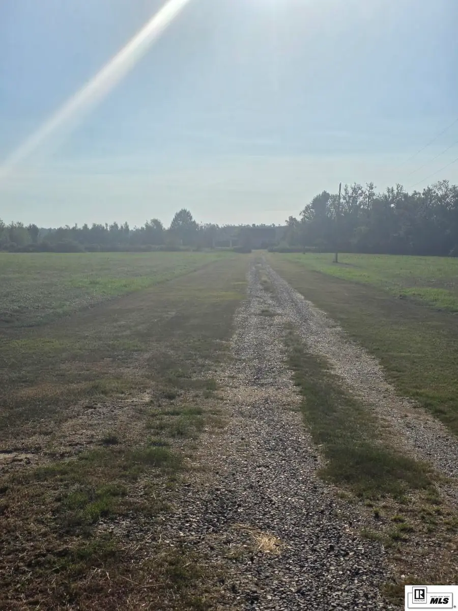 511 Bee Bayou Road, Rayville, LA 71269 - #3