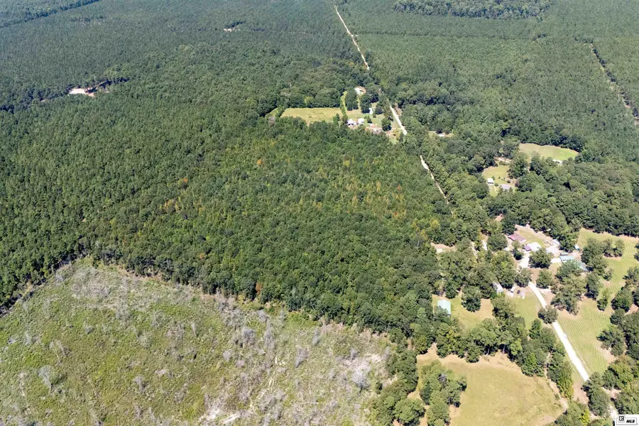 00 Tramm Road, Bastrop, LA 71220 - #2