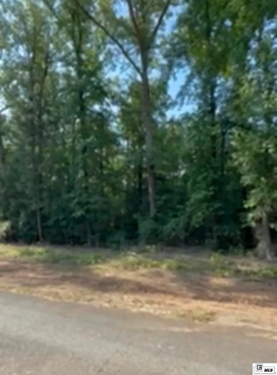 00 Roach Road, Choudrant, LA 71227 - #2