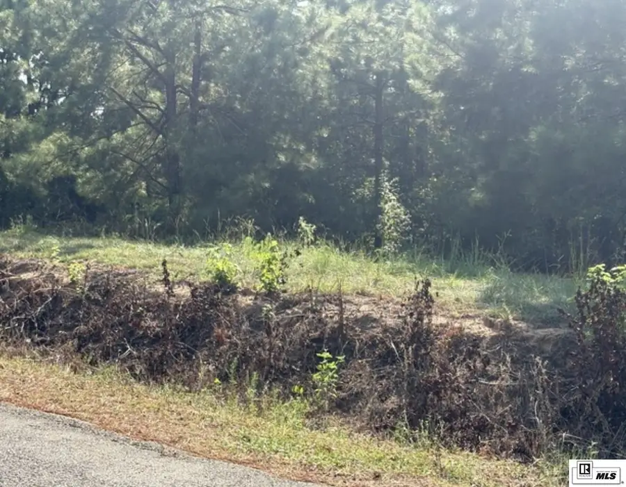 0 William Harris Road, West Monroe, LA 71292 - #3