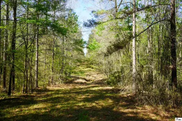0AB Anderson Road, Choudrant, LA 71227