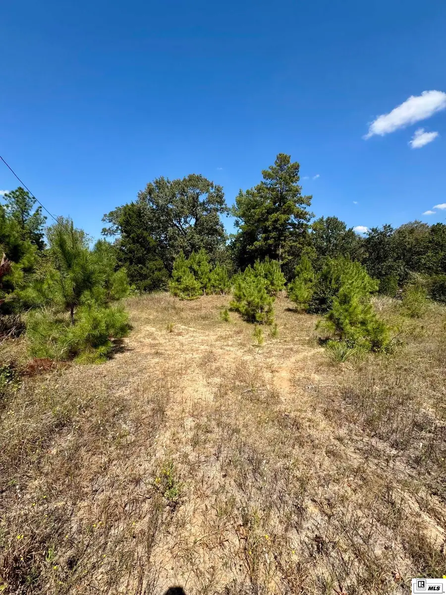 249 Kaiser Road, Castor, LA 71016 - #2