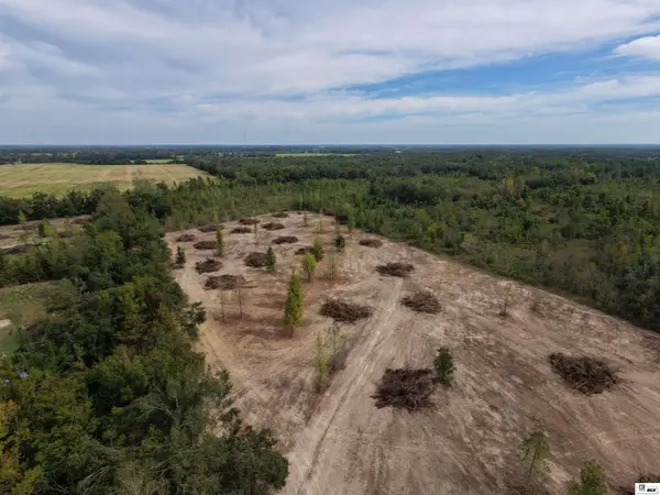 0 Bee Bayou Road, Rayville, LA 71269