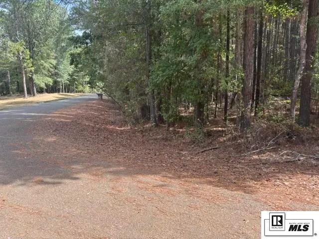 Duggan Road, Arcadia, LA 71001 - #2