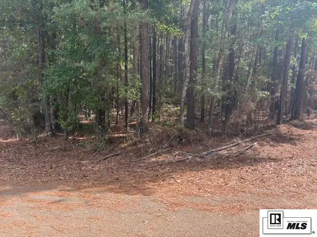 Duggan Road, Arcadia, LA 71001 - #3