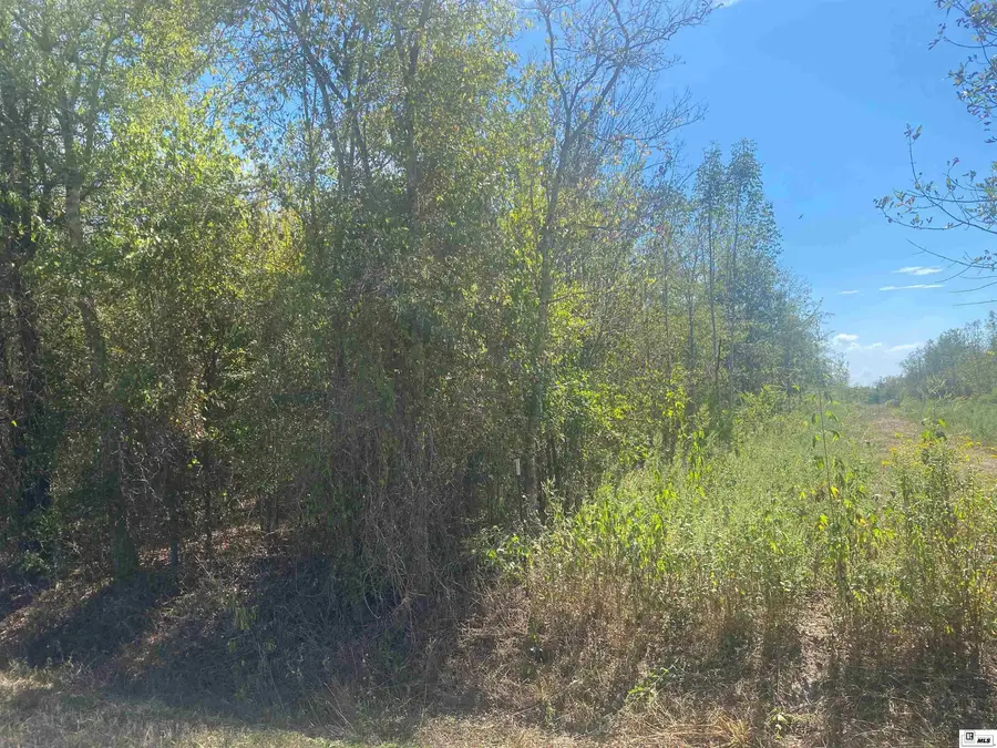 0 Forest Home Road, Monroe, LA 71202 - #3