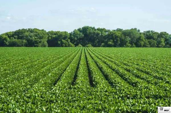 1585 Highway 892, St. Joseph, LA 71366