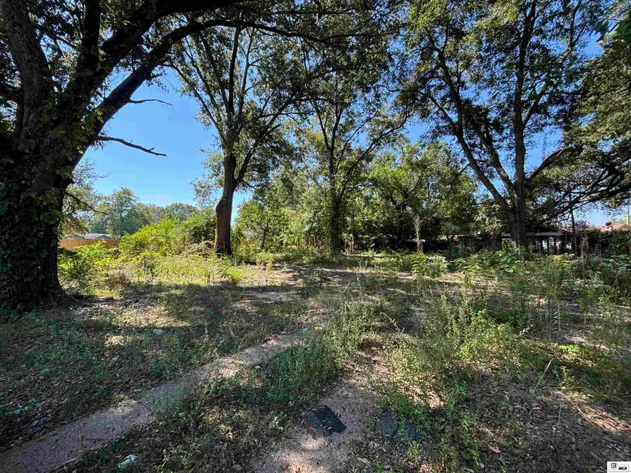 202 Rogers Avenue, Sterlington, LA 71280 - #2