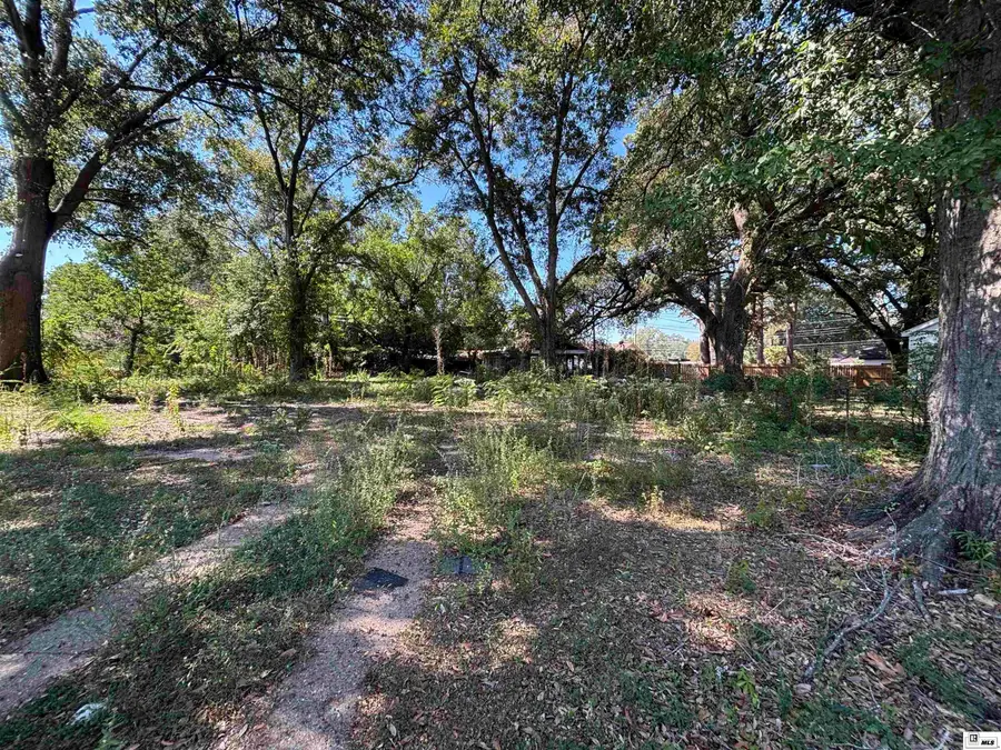 202 Rogers Avenue, Sterlington, LA 71280 - #3