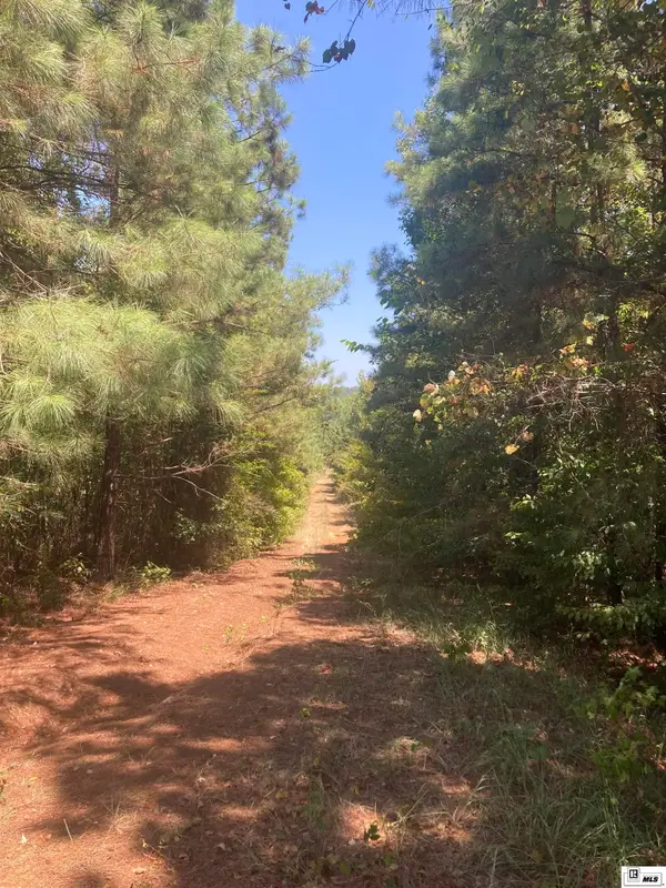 550 Tippett Road, Homer, LA 71040