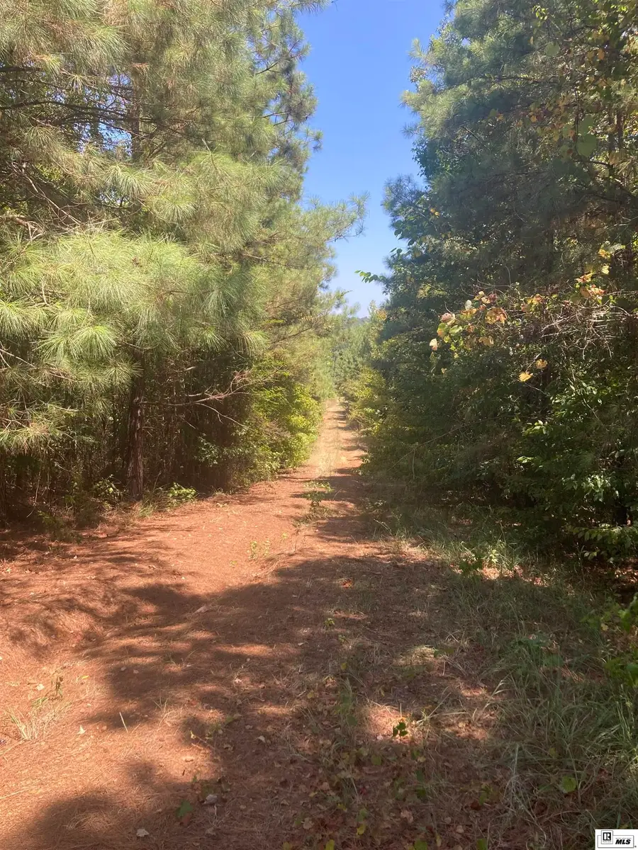 550 Tippett Road, Homer, LA 71040 - #2