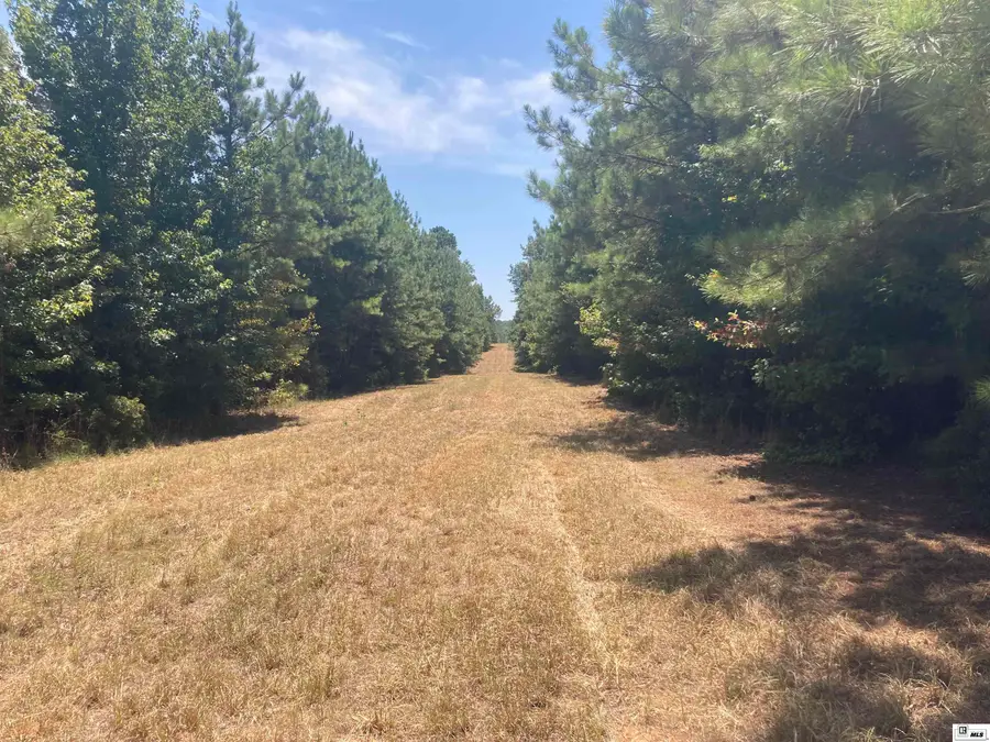 550 Tippett Road, Homer, LA 71040 - #3