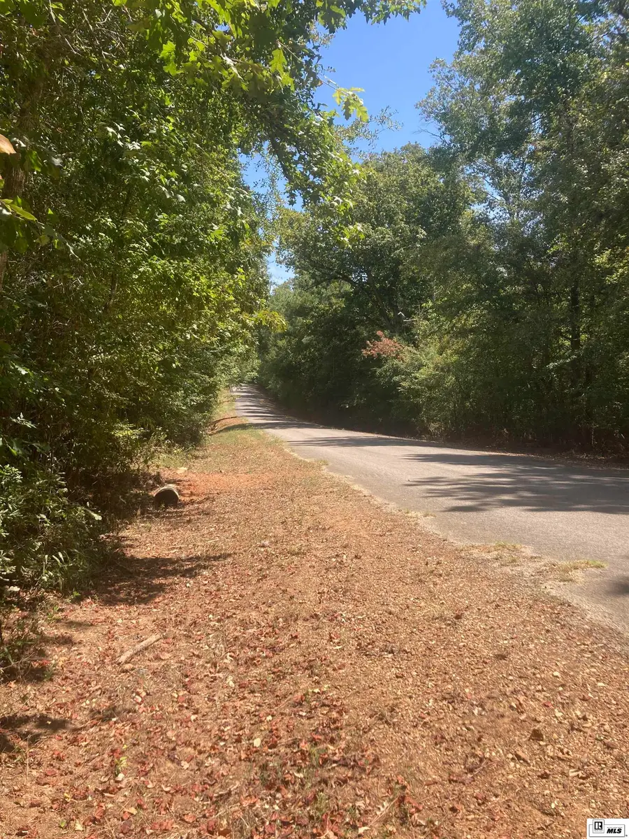 400 Tippett Road, Homer, LA 71040 - #3