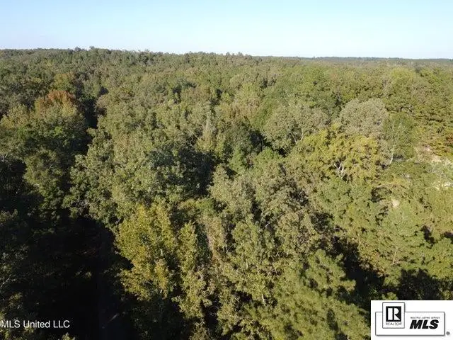 00 Cannady Road, Harrisonburg, LA 71340 - #2