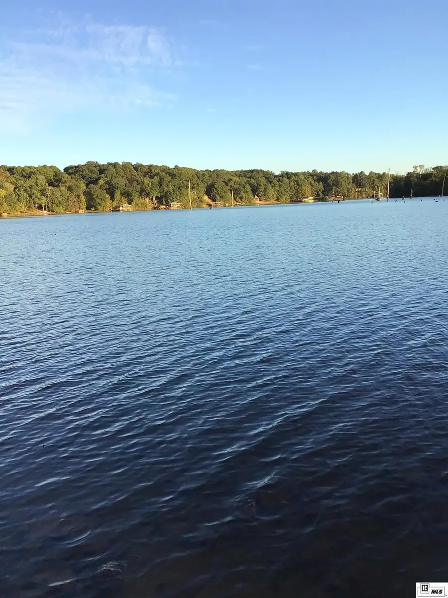 000 Trenon Lane, Farmerville, LA 71241 - #2