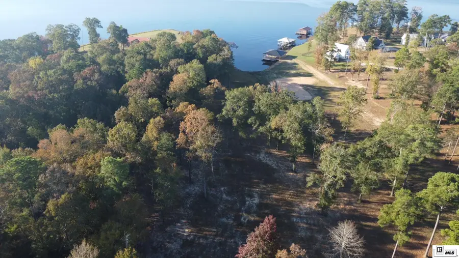 251 Doctor's Point Drive, Chatham, LA 71226 - #3