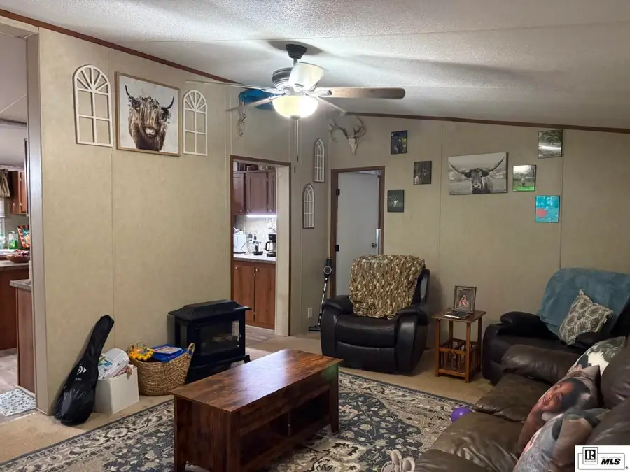 111 Kourtney Lane, Downsville, LA 71234 - #3