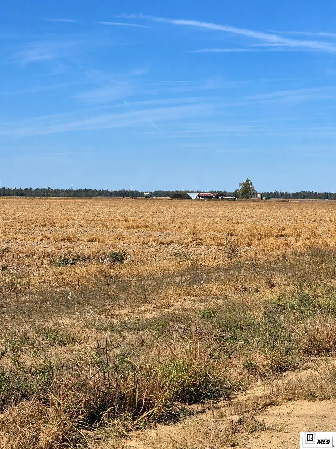 0 Fusilier Road, Epps, LA 71237 - #1