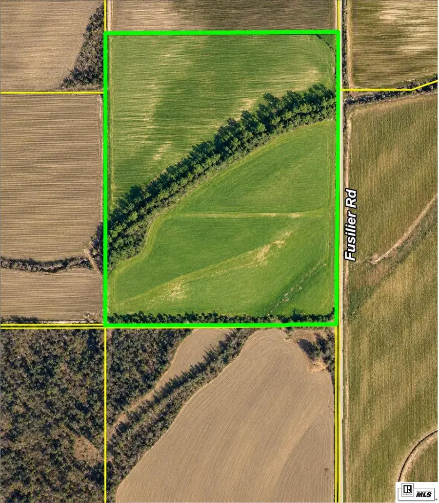 0 Fusilier Road, Epps, LA 71237 - #2