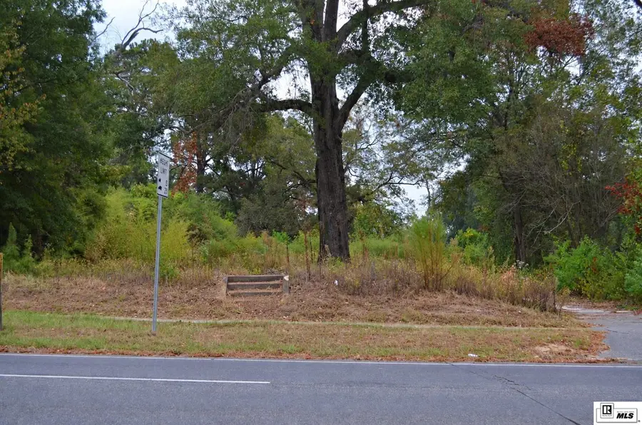 910 N Vienna Street, Ruston, LA 71270 - #3
