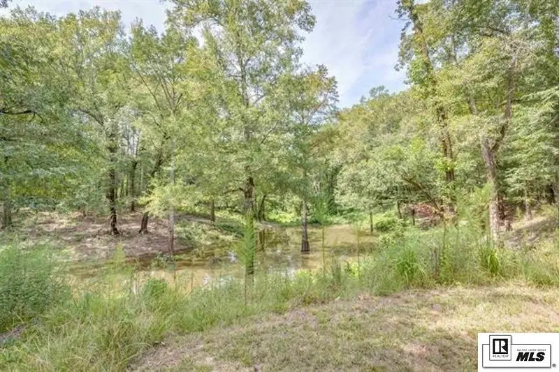 298 Loch Lomand Drive, Farmerville, LA 71241 - #3