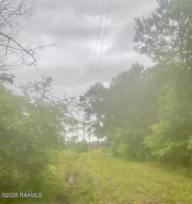 1433 Prairie Ronde Highway, Opelousas, LA 70570 - Image #3
