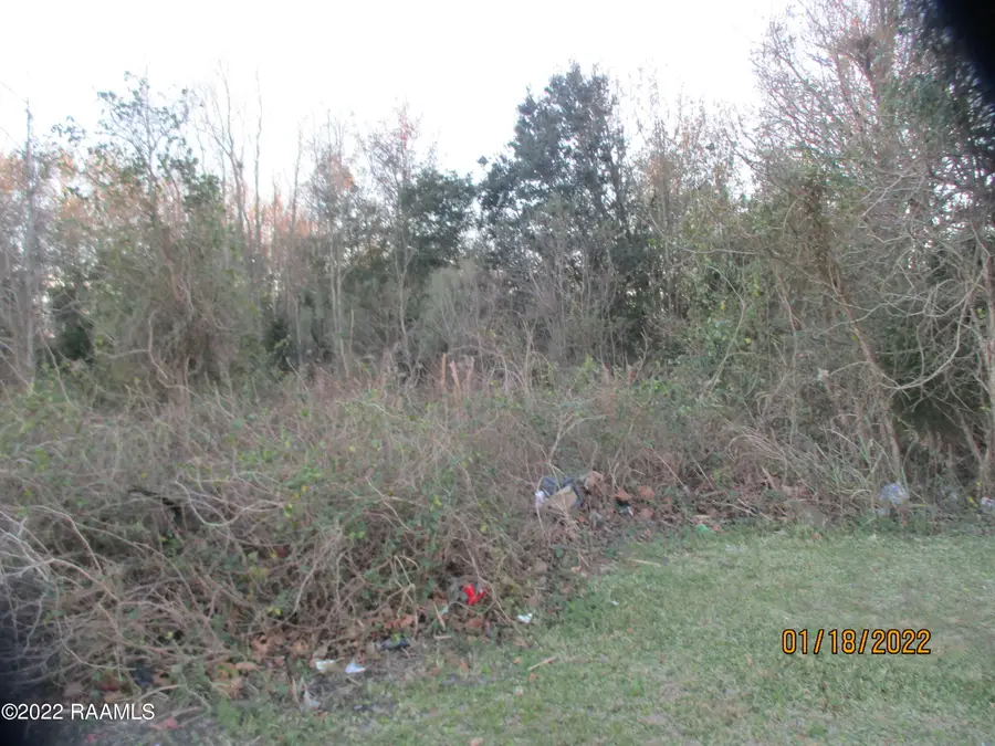 Tbd E Admiral Doyle Drive, New Iberia, LA 70560 - #2