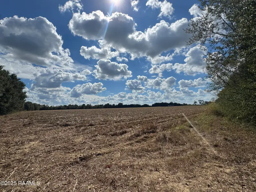 Tbd Roosevelt Road, Maurice, LA 70555 - Image #2