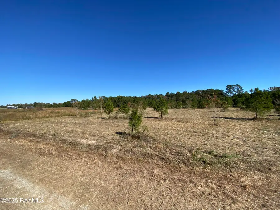 Tbd Wesdale Lane, Crowley, LA 70526 - Image #2