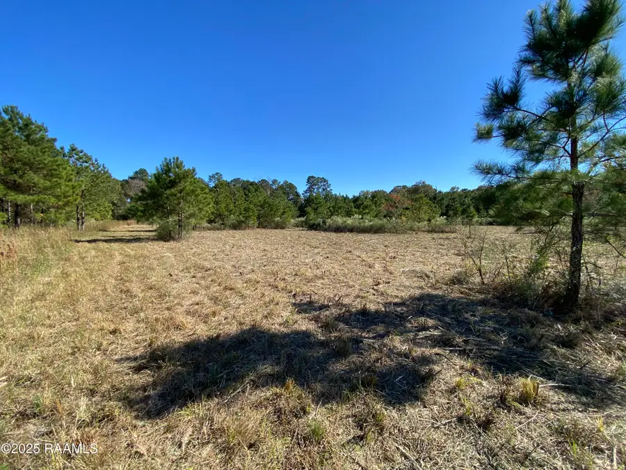 Tbd Wesdale Lane, Crowley, LA 70526 - Image #3