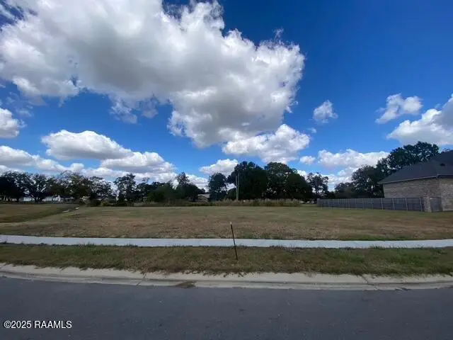 607 Gunter Grass Court, Lafayette, LA 70508 - Image #3