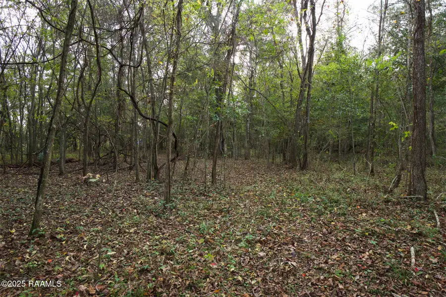 1864 Bushville Highway, Arnaudville, LA 70512 - Image #3