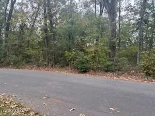 Tbd Hollingsworth Drive, Abbeville, LA 70510