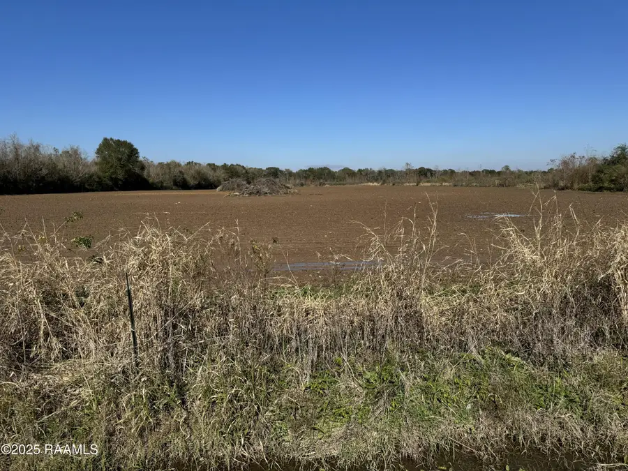 290 Cottage Lane, Church Point, LA 70525 - Image #3