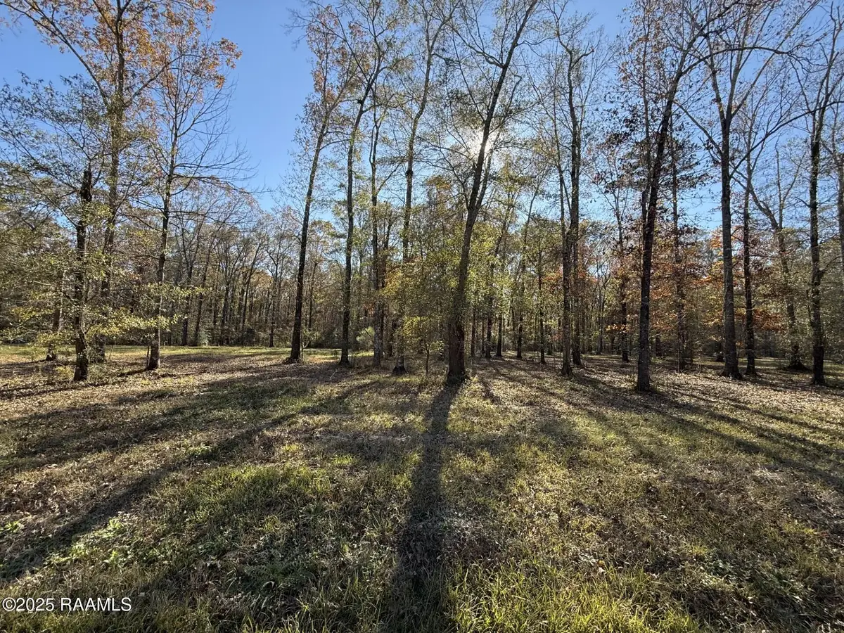 Tbd Juniper Lane, Ville Platte, LA 70586 - Image #1