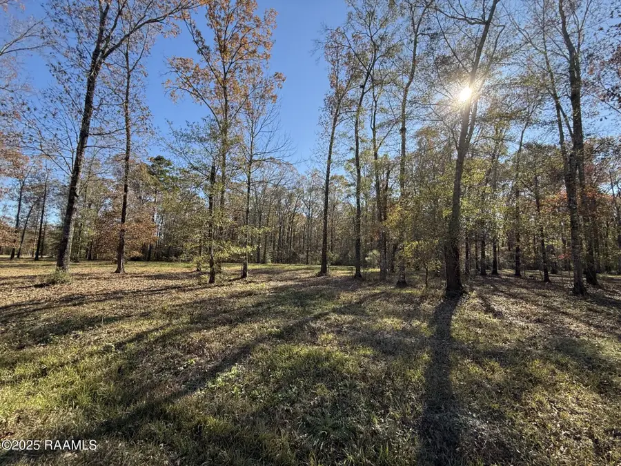 Tbd Juniper Lane, Ville Platte, LA 70586 - Image #2