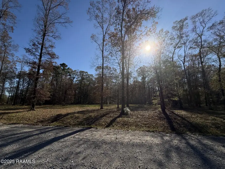 Tbd Juniper Lane, Ville Platte, LA 70586 - Image #3