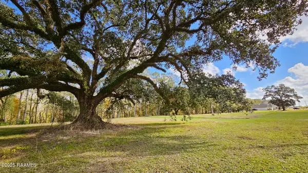 Tbd Main Highway #8-A, Arnaudville, LA 70512