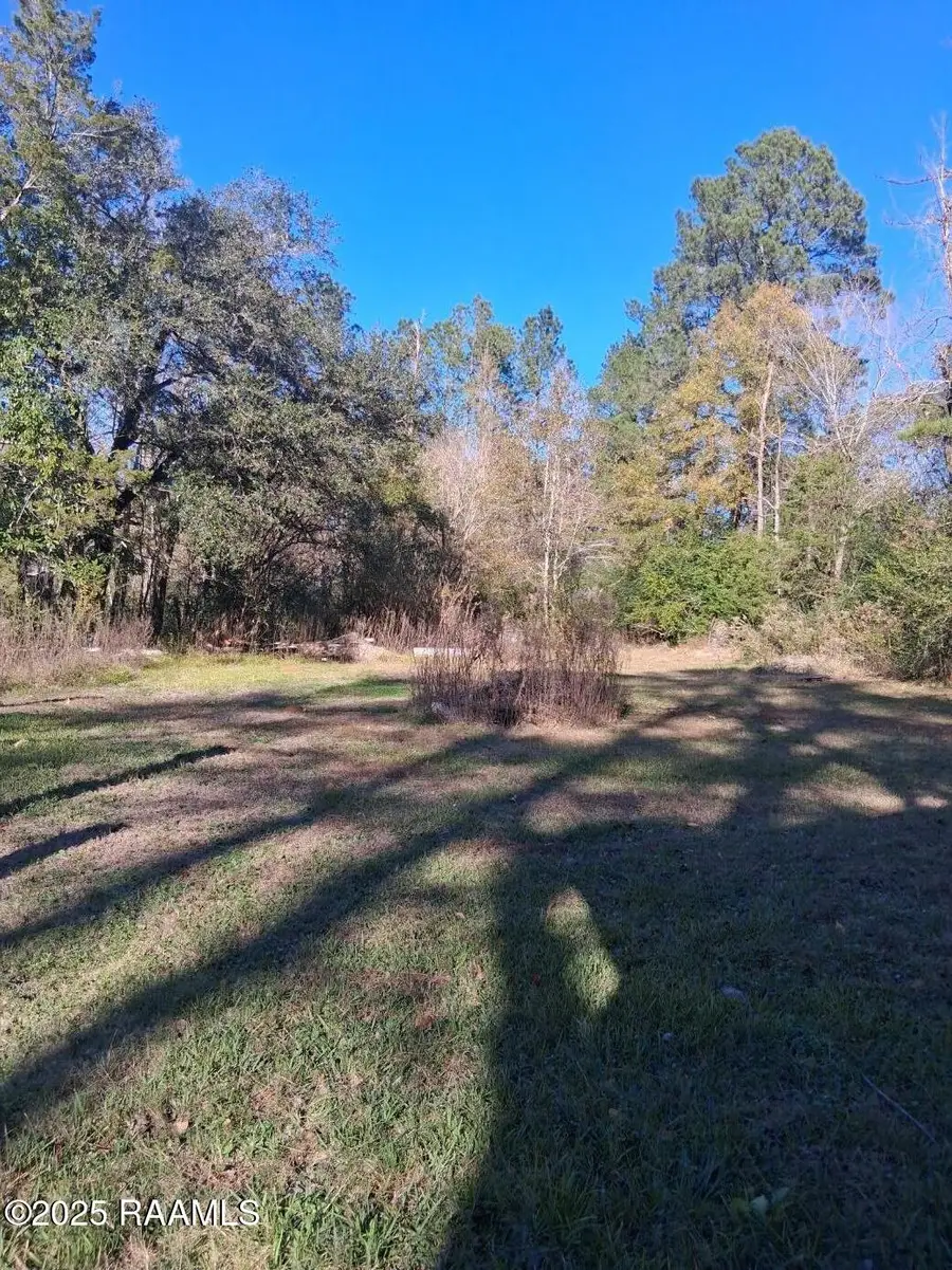 1717 Bayou Maria Road, Pineville, LA 71360 - Image #2