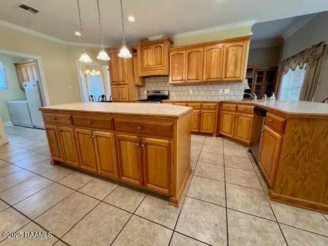 1507 Nesbitt Drive, New Iberia, LA 70560 - Image #2