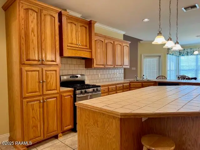 1507 Nesbitt Drive, New Iberia, LA 70560 - Image #3