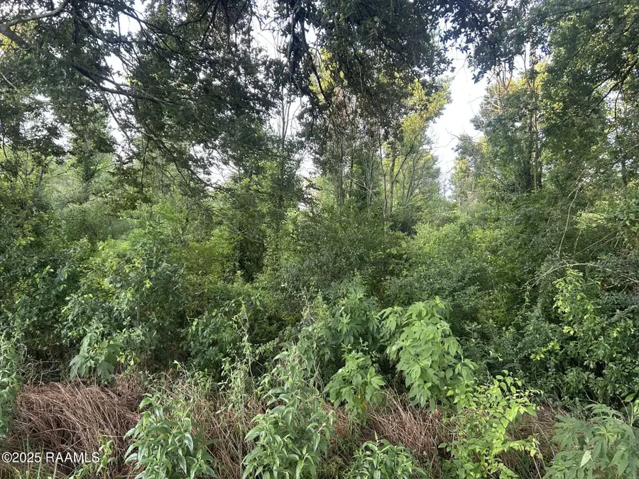 Tbd Bienville Road, Ville Platte, LA 70586 - Image #2