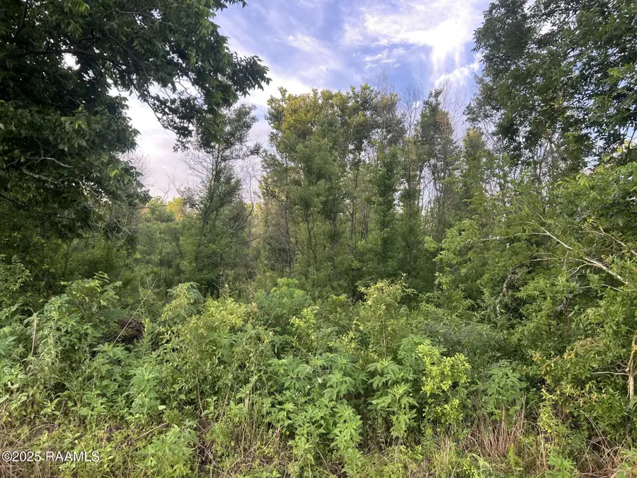 Tbd Bienville Road, Ville Platte, LA 70586 - Image #3