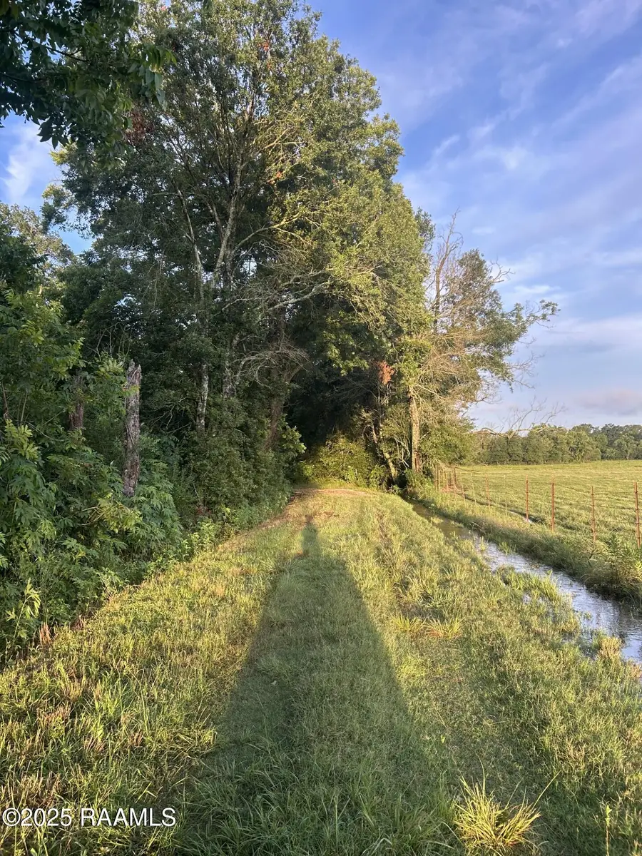 Tbd Bienville, Ville Platte, LA 70586 - Image #2