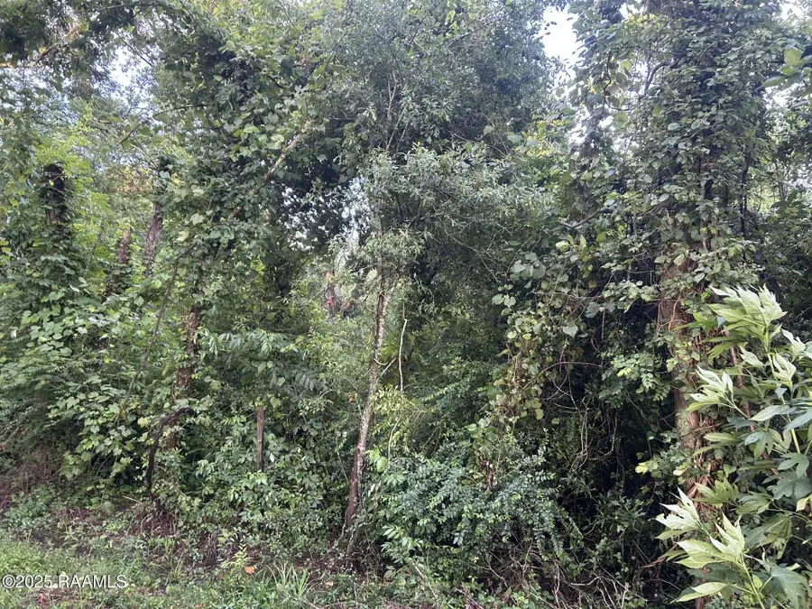 Tbd Bienville, Ville Platte, LA 70586 - Image #3