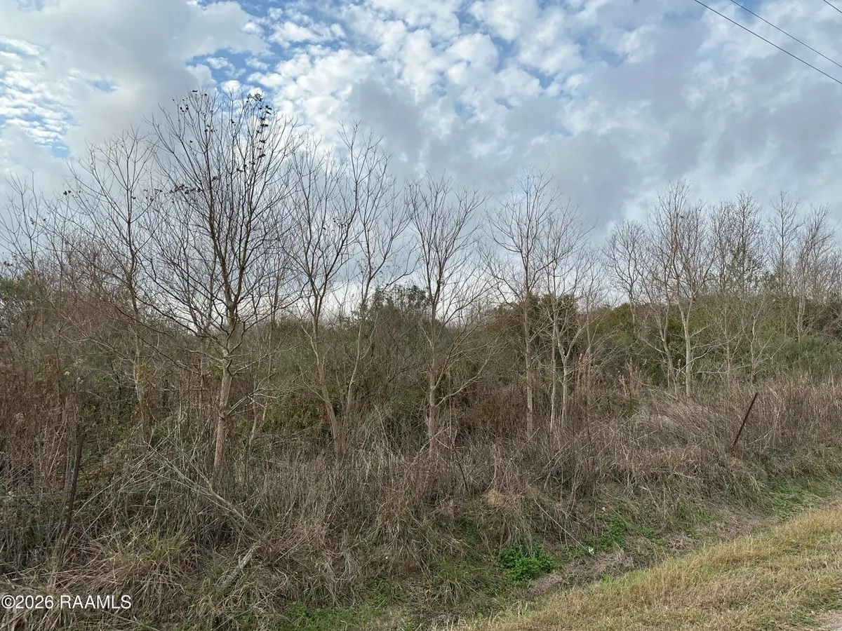 Bourque Road, Gueydan, LA 70542 - Image #1