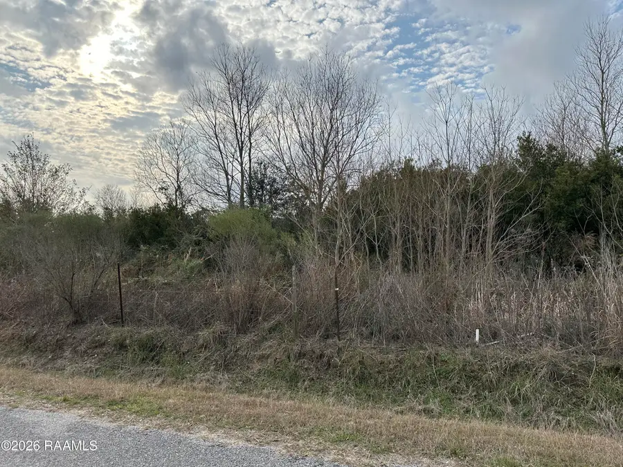 Bourque Road, Gueydan, LA 70542 - Image #2