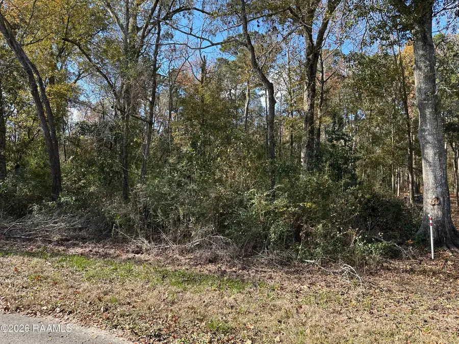 Hoffpauir Road, Gueydan, LA 70542 - Image #2